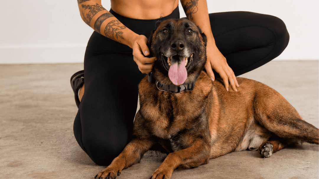 Woman wearing black pet hair resistant leggings with dog