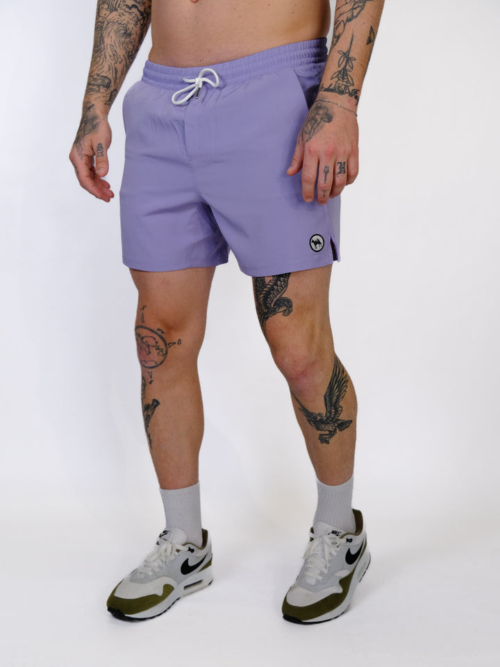 #color_steel-lilac