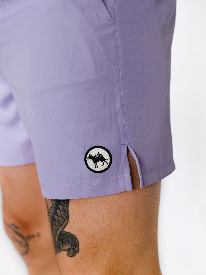 #color_steel-lilac