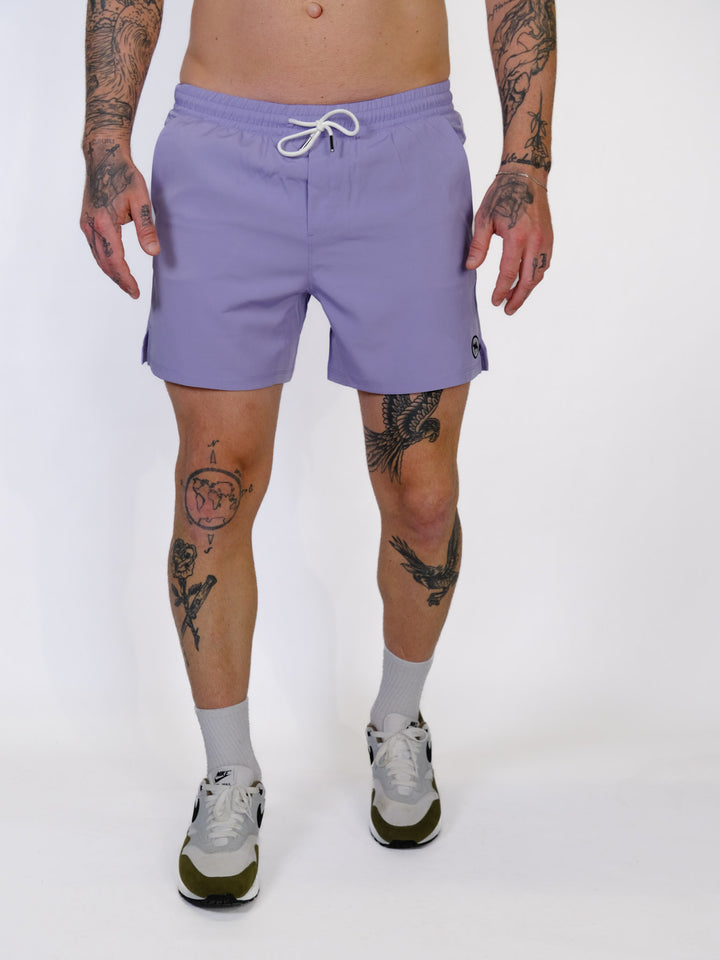 #color_steel-lilac