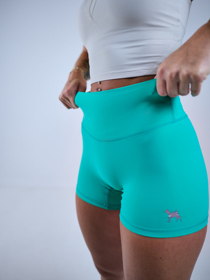 #color_electric-green