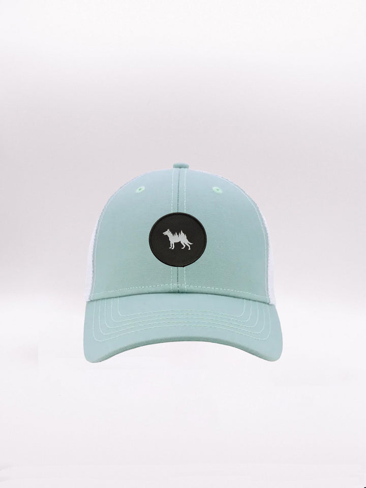 #color_seafoam