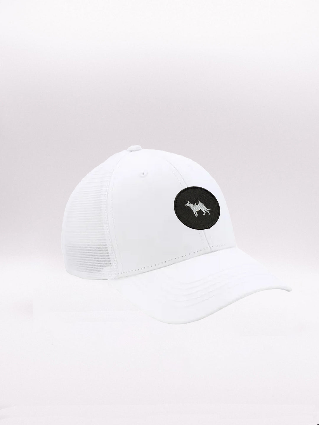 #color_white