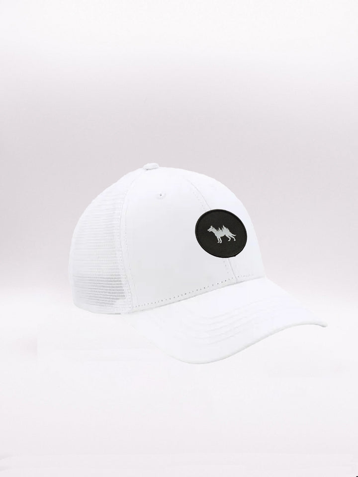 #color_white
